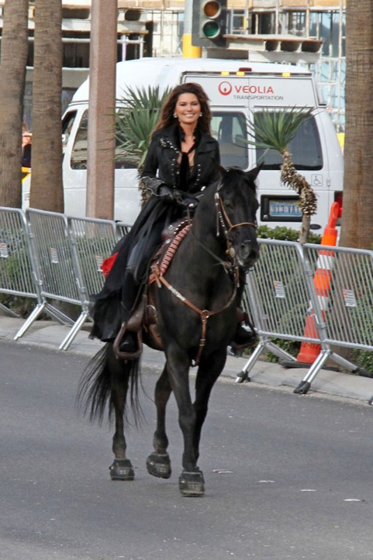 SHANIA TWAIN