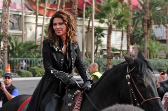 SHANIA TWAIN