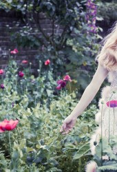 AMANDA SEYFRIED