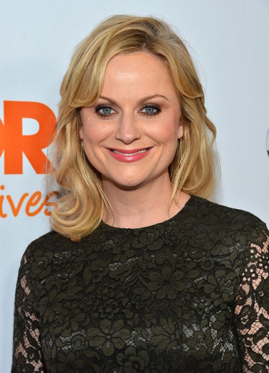 AMY POEHLER