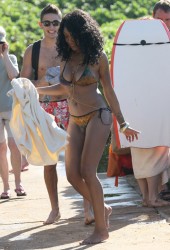 BRANDY NORWOOD