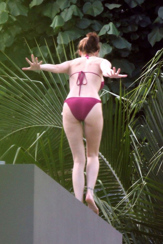 STEPHANIE SEYMOUR in Bikini STEPHANIE SEYMOUR