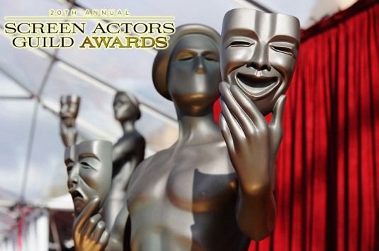 2014 SAG Awards