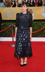 Amanda Peet at 20th Annual Screen Actors Guild Awards in Los Angeles