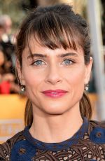 AMANDA PEET at 2014 SAG Awards in Los Angeles
