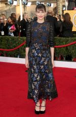 AMANDA PEET at 2014 SAG Awards in Los Angeles