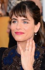 AMANDA PEET at 2014 SAG Awards in Los Angeles