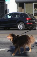 AMANDA SEYFRIED and Finn Out in West Hollywood