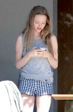 AMANDA SEYFRIES Out for Lunch in Santa Monica