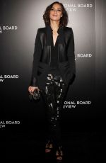 BERENICE BEJO at 2014 National Board of Review Awards Gala in New York