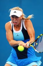 CAROLINE WOZNIACKI at 2014 Sydney International