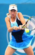 CAROLINE WOZNIACKI at 2014 Sydney International