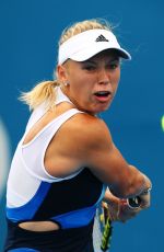 CAROLINE WOZNIACKI at 2014 Sydney International