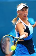 CAROLINE WOZNIACKI at 2014 Sydney International