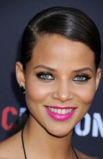 DENISE VASI at 2014 Roc Nation Pre-Grammy Brunch in Beverly Hills