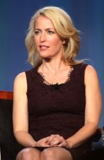 GILLIAN ANDERSON at 2014 Winter TCA Tour in Pasadena