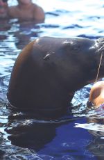 KOURTENY KARDASHIAN in Bikini in the Pool with the Seal