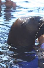 KOURTENY KARDASHIAN in Bikini in the Pool with the Seal