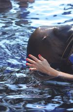 KOURTENY KARDASHIAN in Bikini in the Pool with the Seal