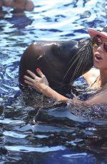 KOURTENY KARDASHIAN in Bikini in the Pool with the Seal