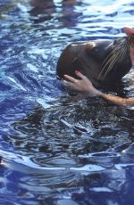 KOURTENY KARDASHIAN in Bikini in the Pool with the Seal