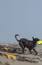 LINDSEY VONN in Shorts Walks Her Dog Leo on the Beach