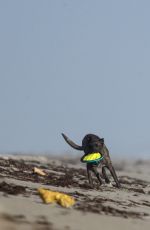 LINDSEY VONN in Shorts Walks Her Dog Leo on the Beach