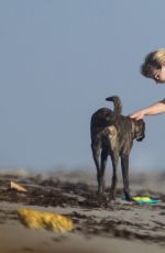 LINDSEY VONN in Shorts Walks Her Dog Leo on the Beach