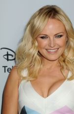 MALIN AKERMAN at Disney ABC Television Group 2014 TCA Winter Press Tour