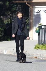MILA KUNIS and Ashton Kutcher Walks Her Dogs Out in Los Angeles