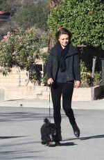 MILA KUNIS and Ashton Kutcher Walks Her Dogs Out in Los Angeles