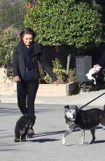 MILA KUNIS and Ashton Kutcher Walks Her Dogs Out in Los Angeles
