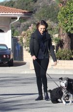 MILA KUNIS and Ashton Kutcher Walks Her Dogs Out in Los Angeles