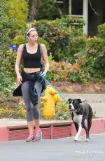 MILEY CYRUS in Tight Walks Her Dog Out in Los Angeles