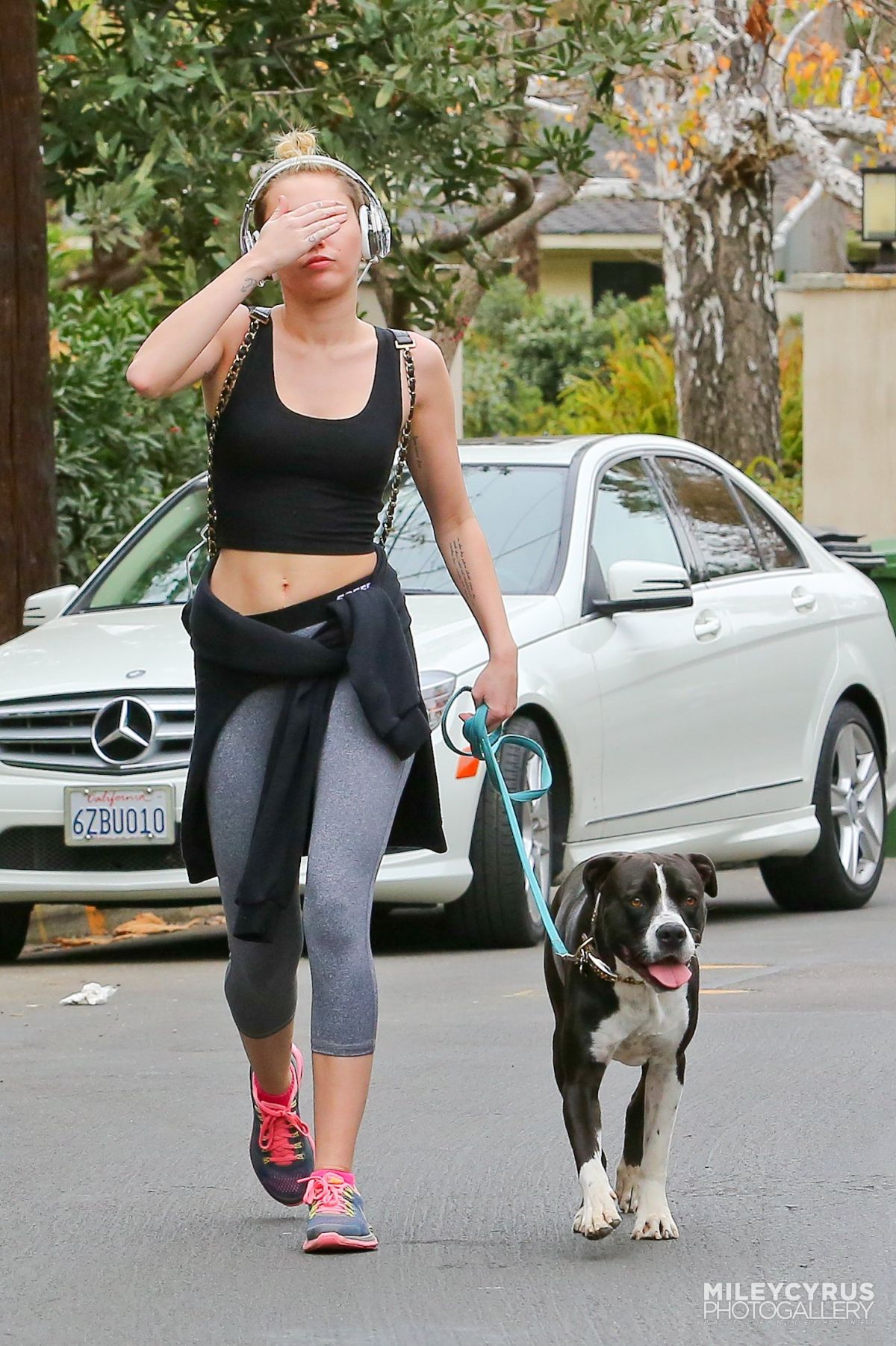 MILEY CYRUS in Tight Walks Her Dog Out in Los Angeles - HawtCelebs