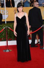 PAULEY PERRETTE at 2014 SAG Awards in Los Angeles