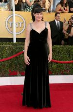 PAULEY PERRETTE at 2014 SAG Awards in Los Angeles