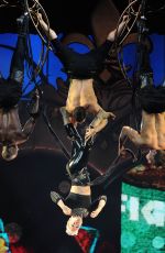 PINK Performs at Truth About Love Tour in Anaheim