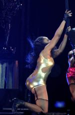 PINK Performs at Truth About Love Tour in Anaheim