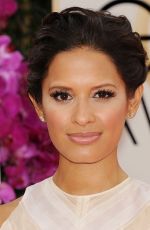ROCSI DIAZ at 71st Annual Golden Globe Awards