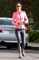 ALESSANDRA AMBROSIO in Tights Working Out in Santa Monica