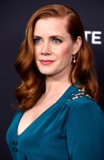 AMY ADAMS at 2014 Costume Designers Guild Awards in Beverly Hills