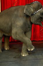 ANNASOPHIA ROBB at Ringling Bros. and Barnum and Bailey Presents Legends in New York
