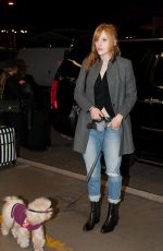 BELLA THORNE and Her Dog Kingston at LAX Airport