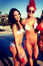 BELLA TWINS artying in Bikinis in Cabo San Lucas
