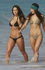 BELLA TWINS, BRIANNA and NICOLE Garcia-Colace in Bikini on the Beach Los Angeles