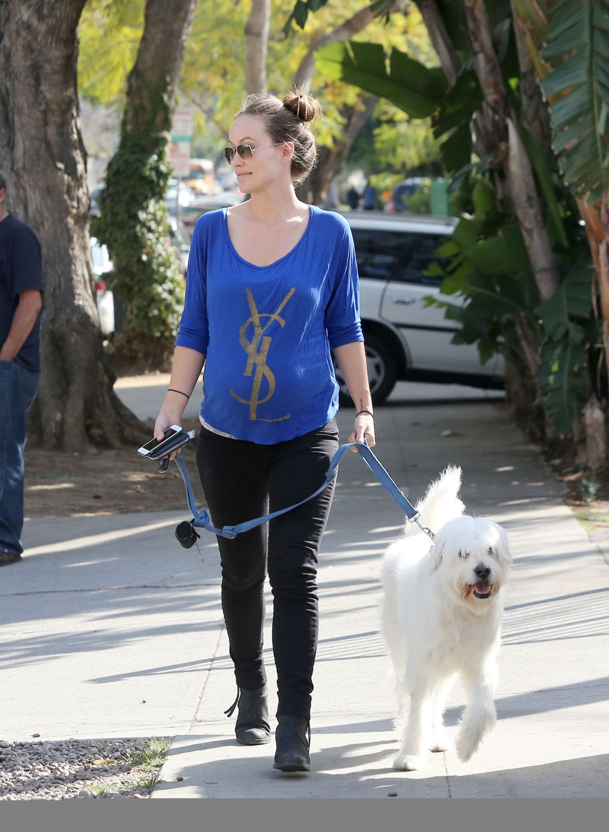 OLIVIA WILDE Takes Her Dog for a Walk in Los Angeles – HawtCelebs