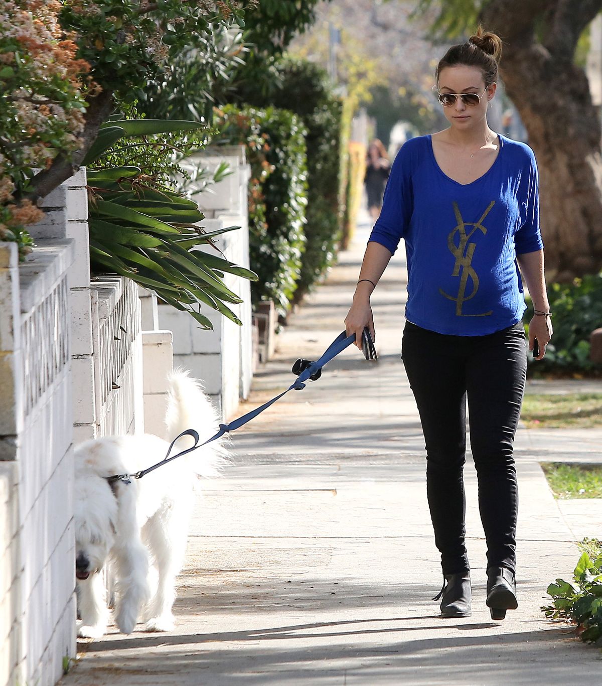OLIVIA WILDE Takes Her Dog for a Walk in Los Angeles – HawtCelebs