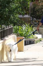 OLIVIA WILDE Takes Her Dog for a Walk in Los Angeles
