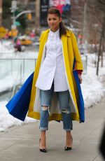 ZENDAYA COLEMAN Out and About in New York